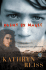 Paint By Magic (Time Travel Mystery)