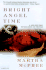 Bright Angel Time (Harvest Book)