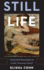 Still Life: Suspended Development in the Victorian Novel