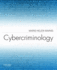 Cybercriminology