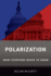 Polarization: What Everyone Needs to Know�