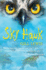 Sky Hawk