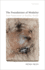 Foundations of Modality: From Propositions to Possible Worlds