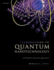 Introduction to Quantum Nanotechnology: a Problem Focused Approach Format: Hardcover