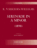Serenade in a Minor