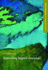 Explaining English Grammar (Oxford Handbooks for Language Teachers Series)