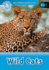Wild Cats Format: Paperback
