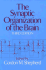 The Synaptic Organization of the Brain