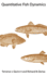 Quantitative Fish Dynamics (Biological Resource Management)