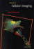 Methods in Cellular Imaging