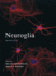 Neuroglia (Revised)
