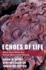 Echoes of Life: What Fossil Molecules Reveal About Earth History