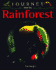 Journey Into the Rainforest