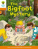 Oxford Reading Tree Biff, Chip and Kipper Stories Decode and Develop: Level 6: The Bigfoot Mystery