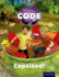 Project X Code: Falls Capsized