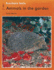 Fuzzbuzz: Level 2: Fuzzbuzz Facts: Animals in the Garden: a Remedial Reading Scheme: Facts Level 2