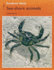 Fuzzbuzz: Level 2: Fuzzbuzz Facts: Sea-Shore Animals