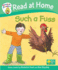 Read at Home: Floppy's Phonics: L2b: Such a Fuss