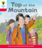 Oxford Reading Tree: Decode & Develop More A Level 4: Top Mountain
