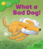 Oxford Reading Tree: Stage 2: Storybooks: What a Bad Dog!
