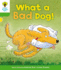 Oxford Reading Tree: Level 2: Stories: What a Bad Dog! (Oxford Reading Tree, Biff, Chip and Kipper Stories New Edition 2011)