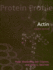 Actin (Protein Profiles)