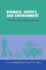 Biomass, Energy, and Environment: a Developing Country Perspective From India