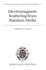 Electromagnetic Scattering From Random Media