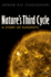 Nature's Third Cycle: a Story of Sunspots