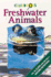 Freshwater Animals (Clue Books)