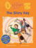 The Oxford Reading Tree: Stage 6: More Storybooks (Magic Key): Shiny Key