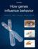 How Genes Influence Behavior