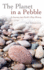 The Planet in a Pebble: a Journey Into Earth's Deep History