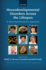 Neurodevelopmental Disorders Across the Lifespan: a Neuroconstructivist Approach
