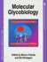 Molecular Glycobiology (Frontiers in Molecular Biology)