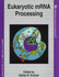 Eukaryotic Mrna Processing (Frontiers in Molecular Biology)