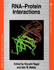 Rna-Protein Interactions (Frontiers in Molecular Biology)