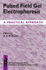 Pulsed Field Gel Electrophoresis: a Practical Approach (Practical Approach Series)