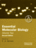 Essential Molecular Biology: 255 (Practical Approach Series)