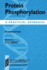 Protein Phosphorylation