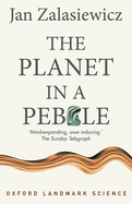 The Planet in a Pebble