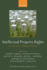 Intellectual Property Rights: Legal and Economic Challenges for Development (Initiative for Policy Dialogue)