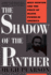 Shadow of the Panther: Huey Newton and the Price of Black Power in America