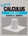 Exploring Calculus With Derive (Math Exploration Series)