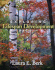 Exploring Lifespan Development (2nd Edition)