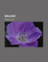Balzac