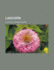 Laocoon
