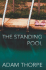 The Standing Pool