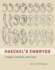 Haeckel's Embryos: Images, Evolution, and Fraud
