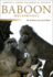 Baboon Metaphysics: the Evolution of a Social Mind